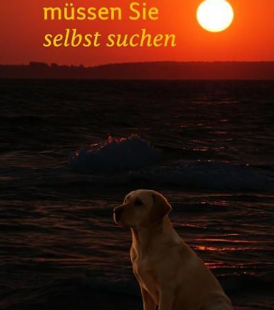 Fewo Ostseele - Tosi Timmendorfer Strand Esterno foto