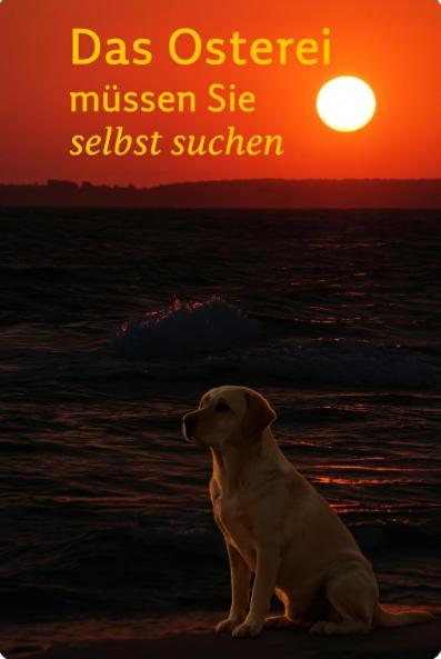 Fewo Ostseele - Tosi Timmendorfer Strand Esterno foto